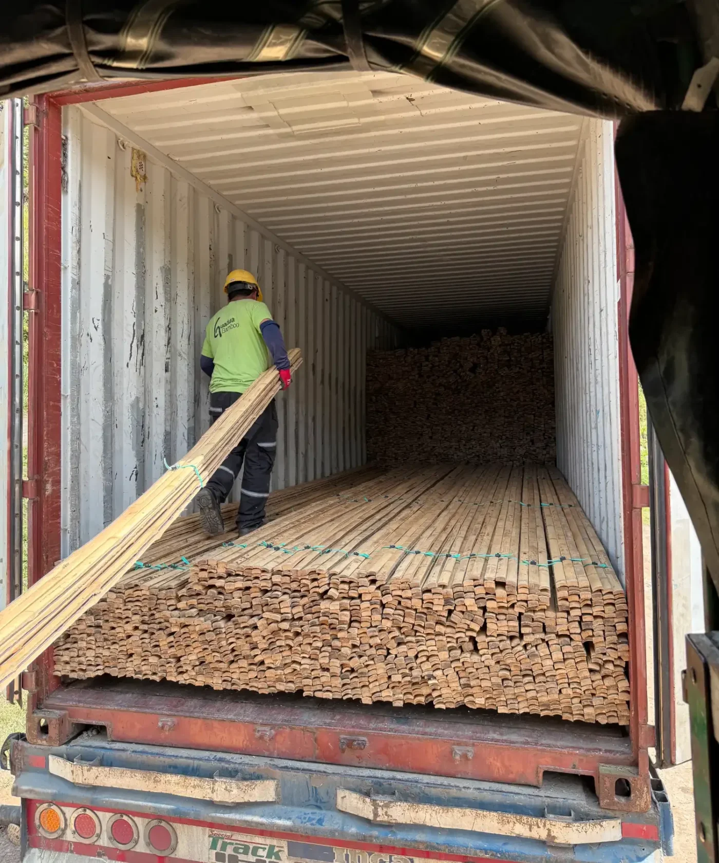 exportacion de bambu guadua desde colombia 1