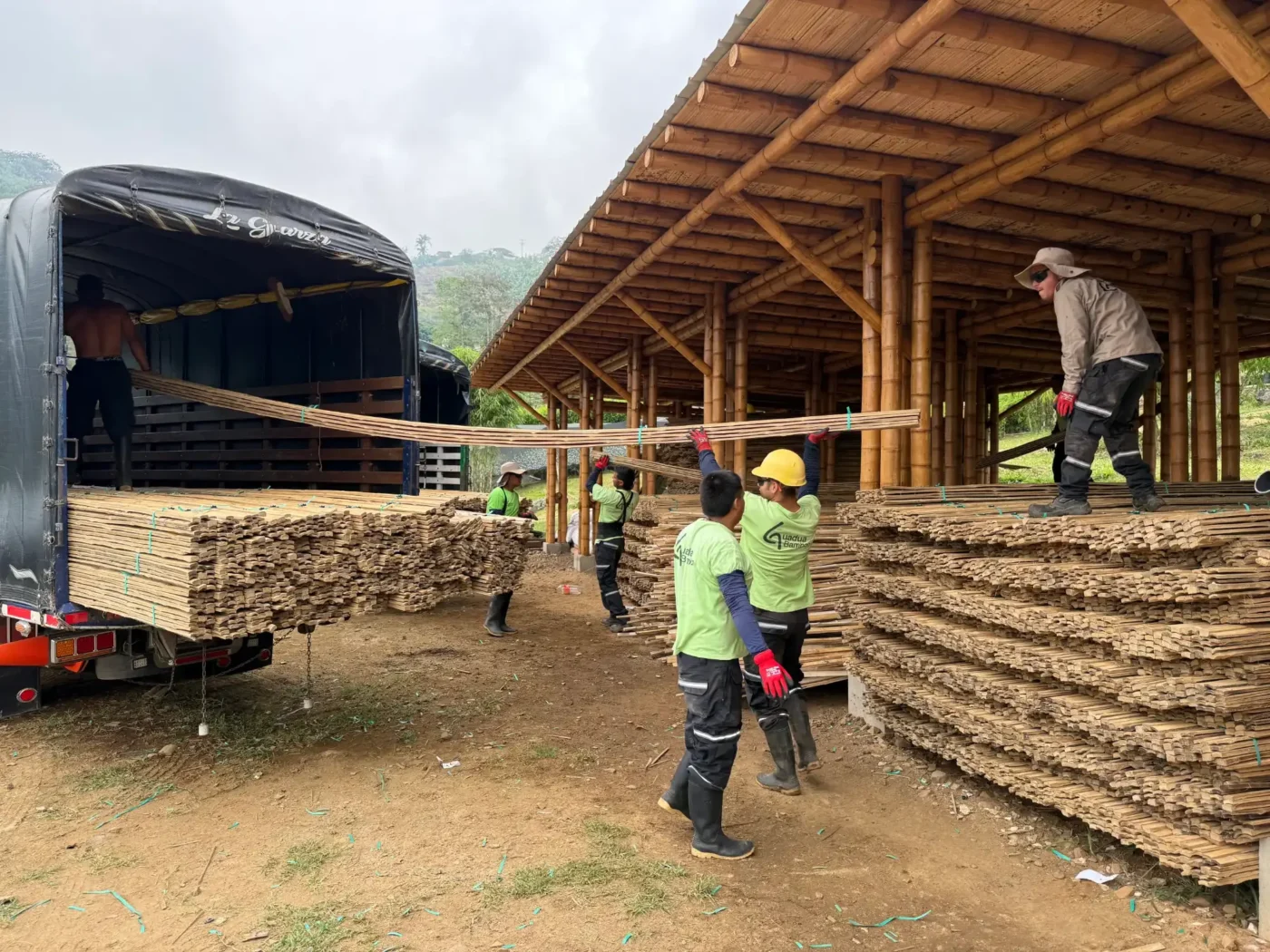 exportacion de bambu guadua desde colombia 2