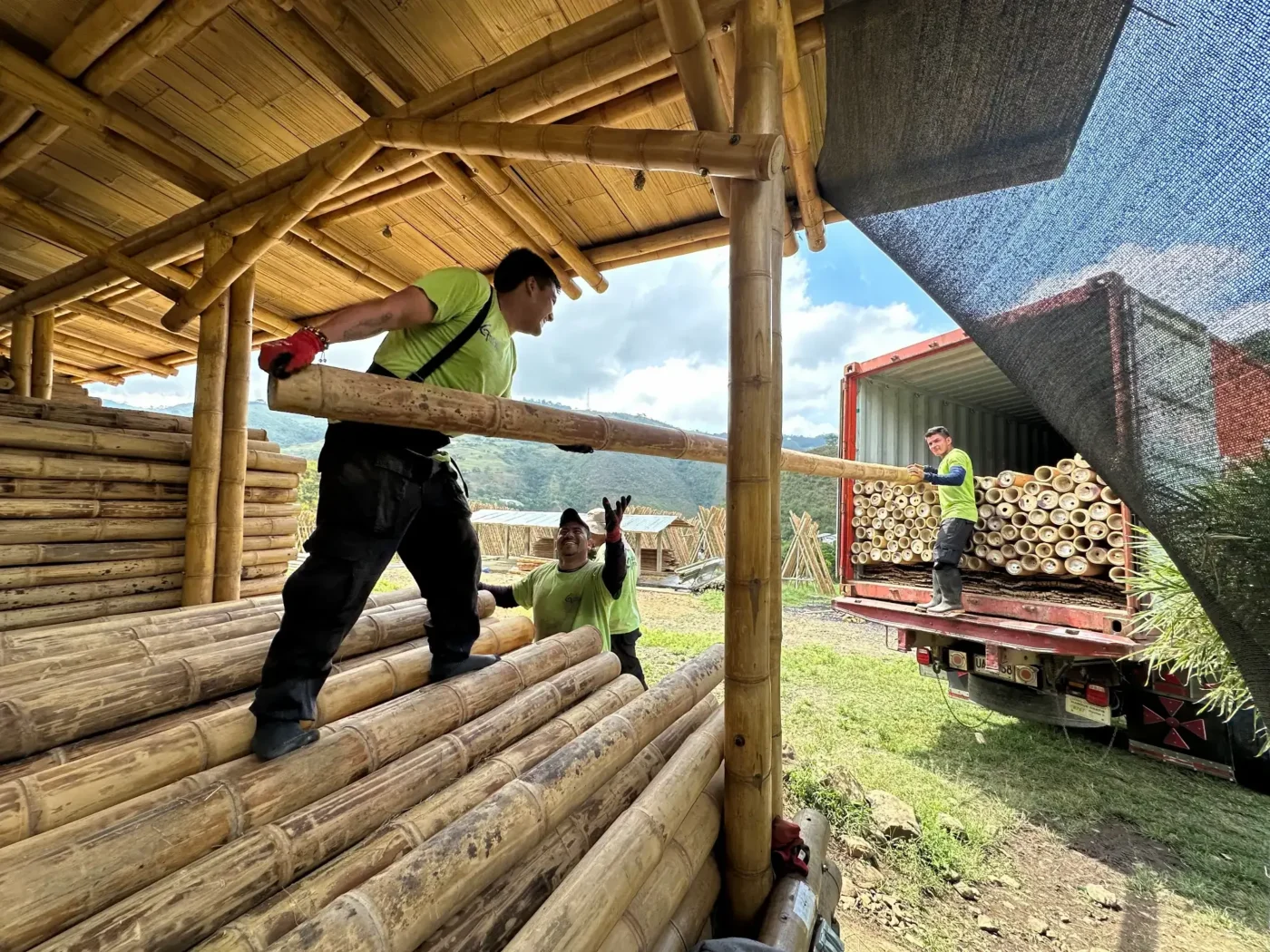 exportacion de bambu guadua desde colombia 4