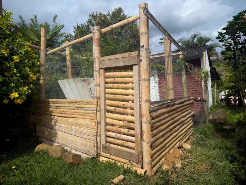 gallinero en guadua