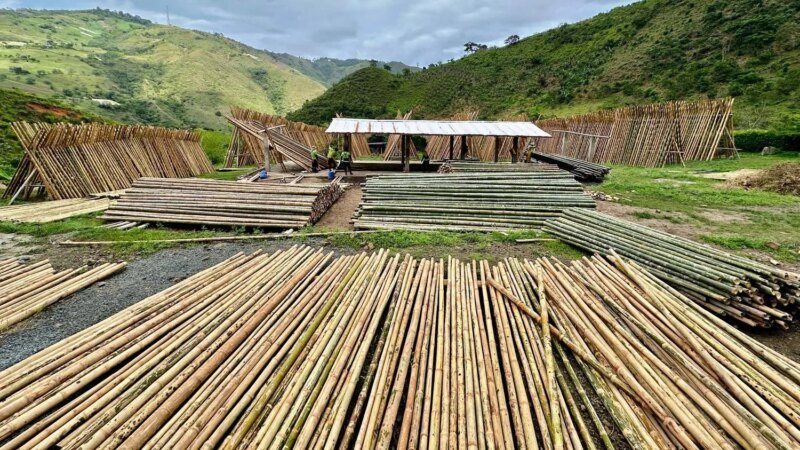 Planta de tratamiento de bambú Guadua en el Valle del Cauca