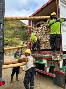 Cargando postes de bambú guadua en un contenedor en Colombia