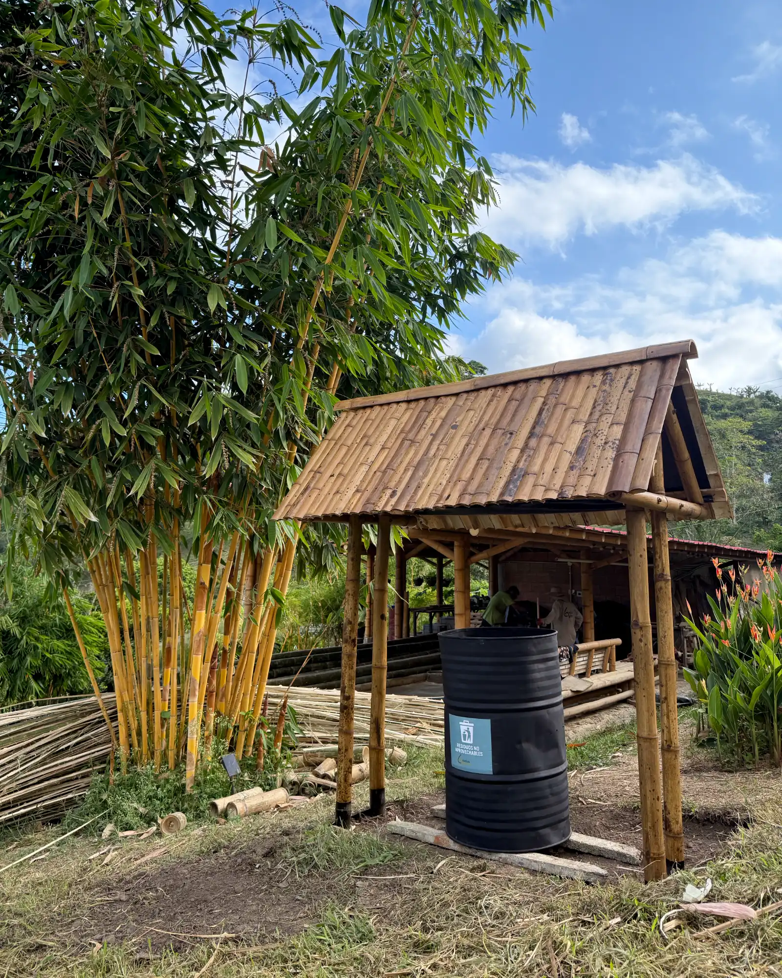 Techo en Guadua con Profilan