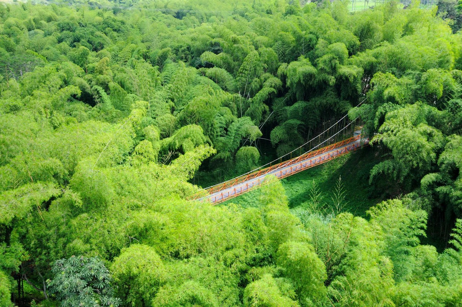Parque Nacional del Café Colombia