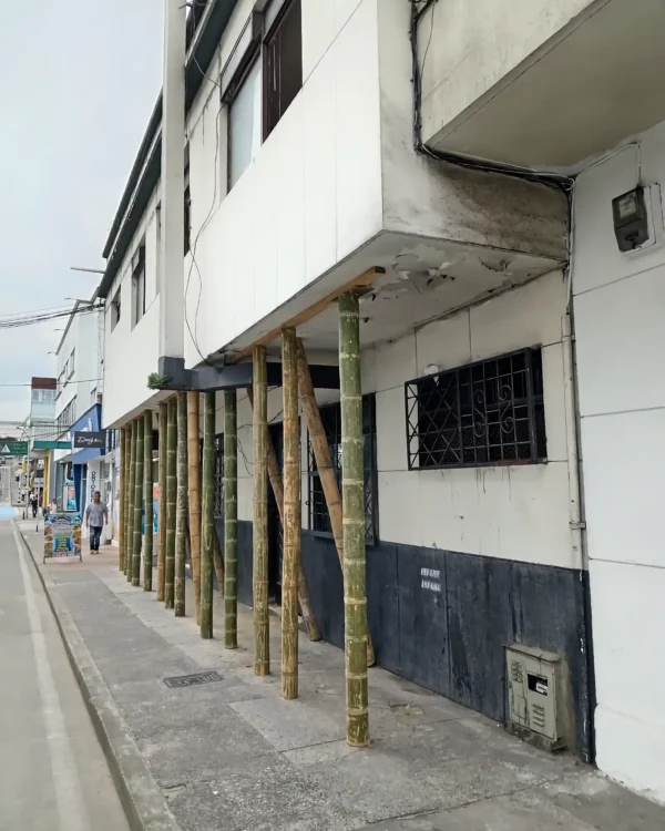 Apuntalamiento estructural con guadua cruda