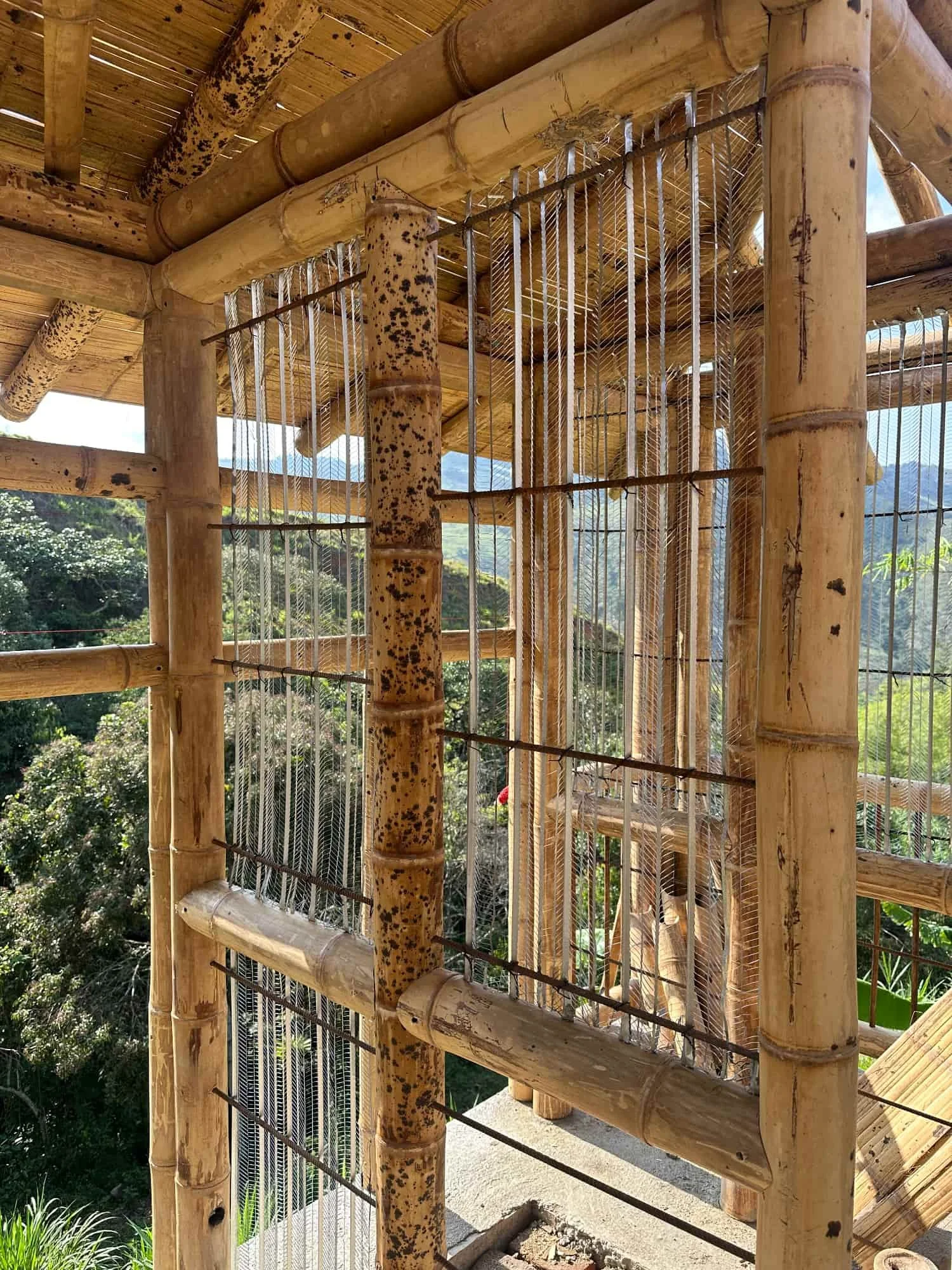 Muro tendinoso en guadua con malla de vena