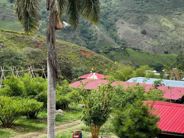 Instalación del techo para la cabaña en Guadua