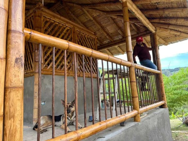 Pintando la cabaña en Guadua con Profilan