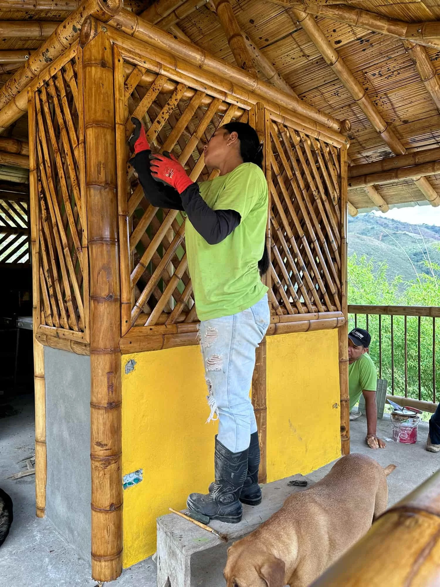 Pintando la cabaña en Guadua con Profilan