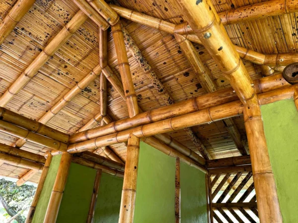 Cabaña en Bambú Guadua para Baño Seco de Lujo