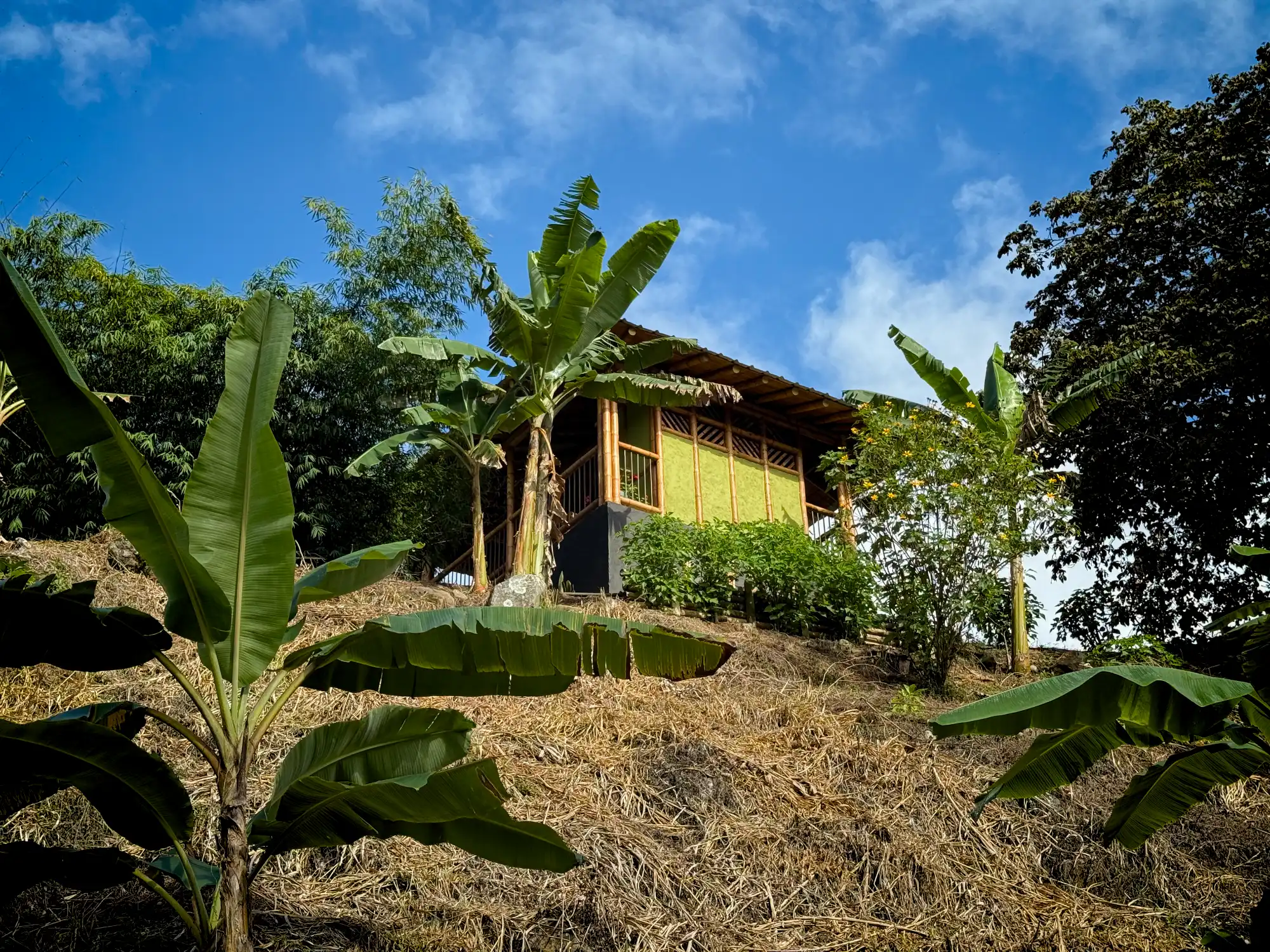 Cabaña en Bambú Guadua para Baño Seco de Lujo
