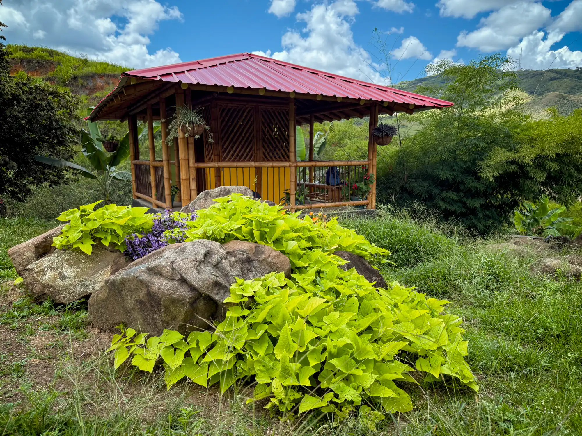 Construyendo la cabaña en Guadua para el baño seco