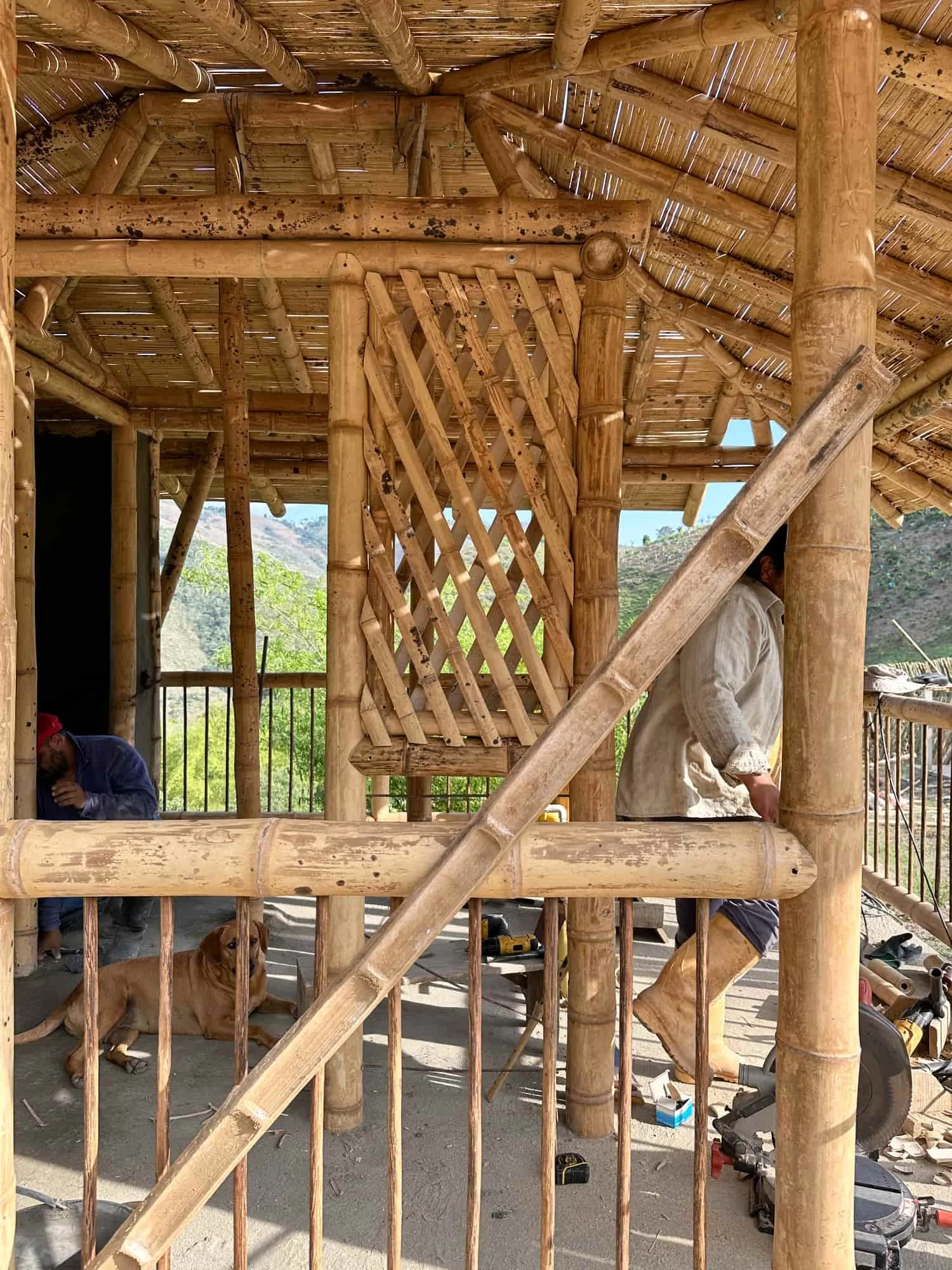 Construyendo la cabaña en Guadua para el baño seco