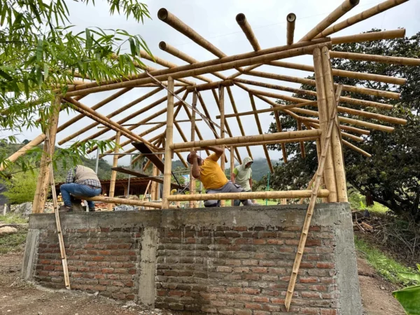Construyendo la cabaña en Guadua para el baño seco