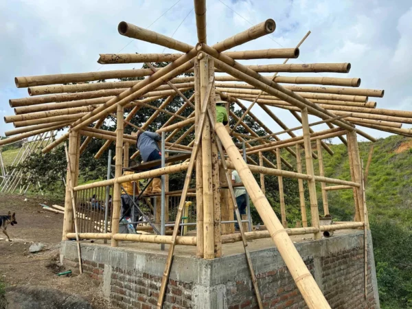 Construyendo la cabaña en Guadua para el baño seco