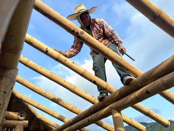 Construyendo la cabaña en Guadua para el baño seco