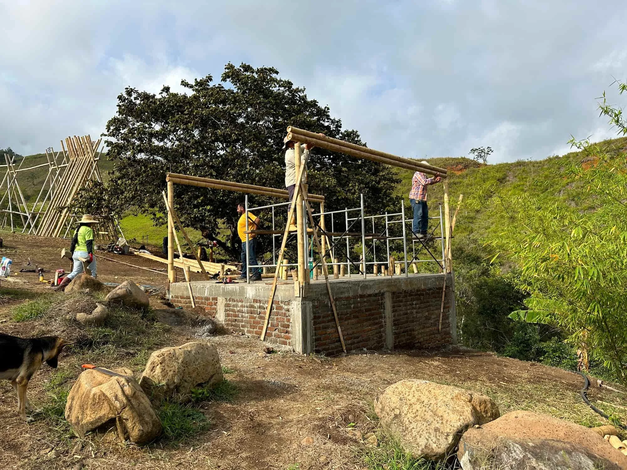 Construyendo la cabaña en Guadua para el baño seco