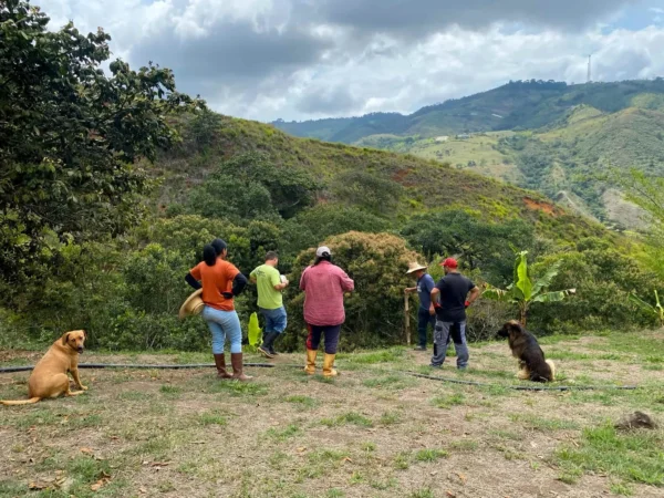 Medición de los cimientos y el diseño del trabajo de base