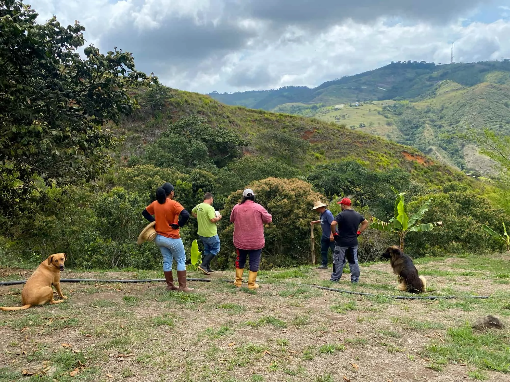 Medición de los cimientos y el diseño del trabajo de base