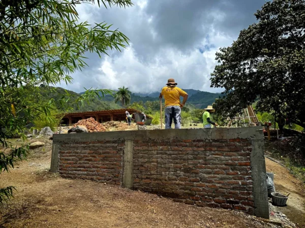 Construyendo un muro de ladrillo