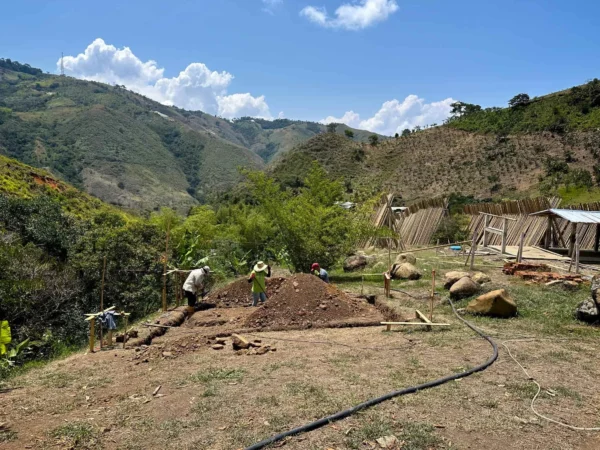 Trazando el diseño del trabajo de base