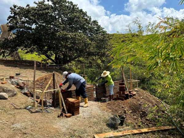 Construyendo un muro de ladrillo