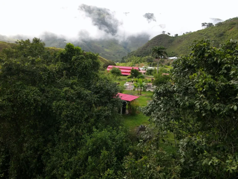 Cobertizo de bambú guadua prefabricado