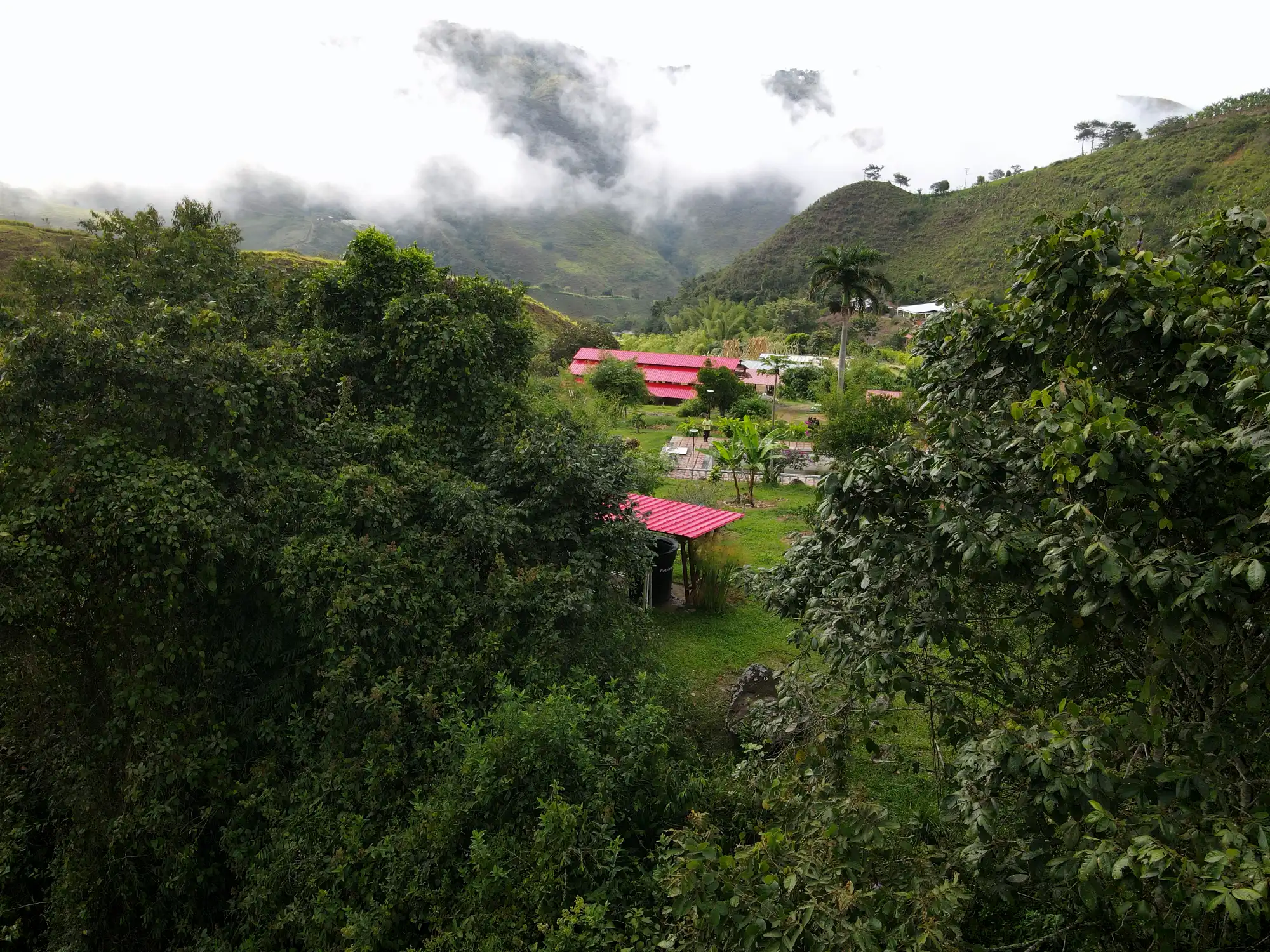Cobertizo de bambú guadua prefabricado