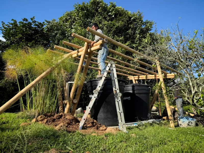 Construcción de cobertizo de guadua prefabricado en sitio - Montaje de soportes estructurales.