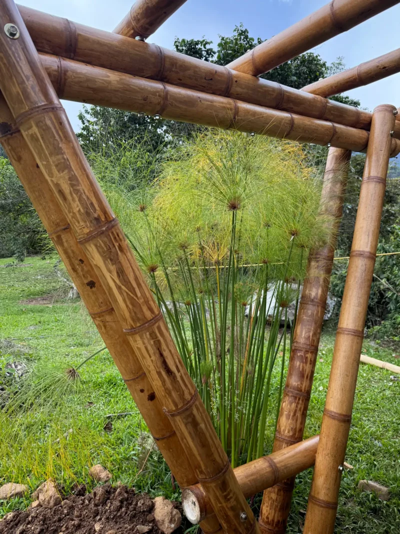 Detalle de acabados y protección de cobertizo de guadua prefabricado