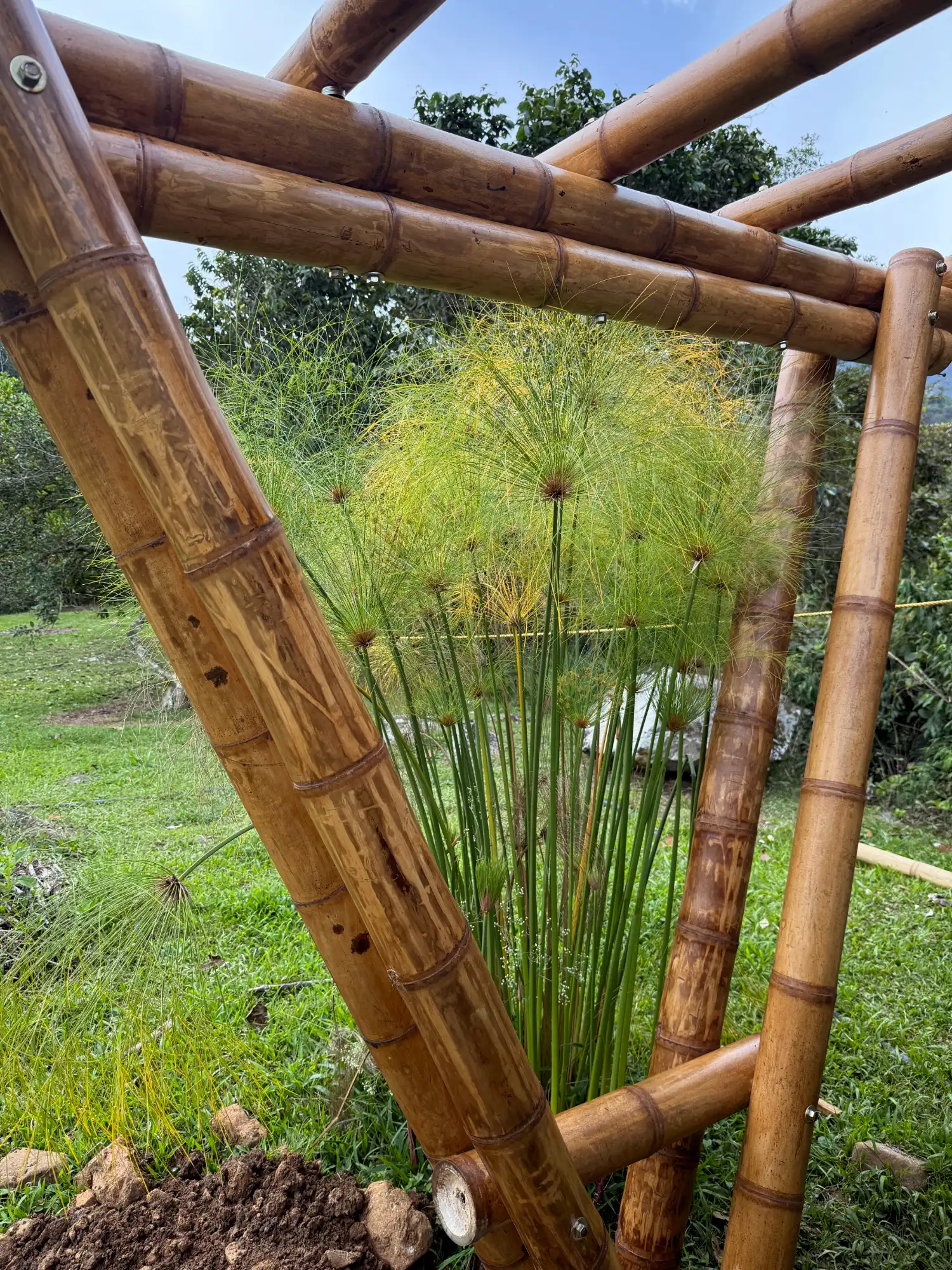 Detalle de acabados y protección de cobertizo de guadua prefabricado