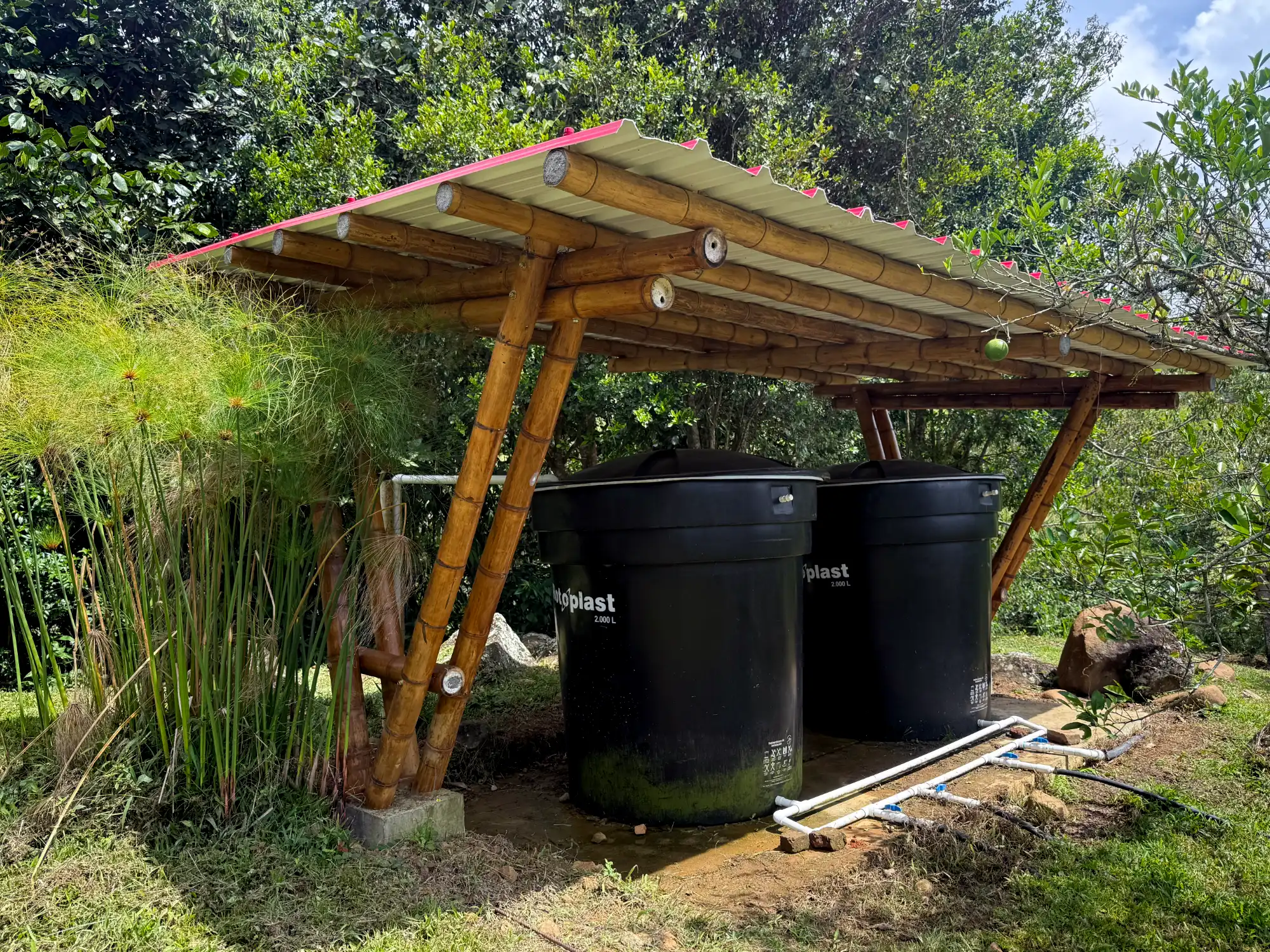 Construcción de cobertizo de guadua prefabricado en sitio - Montaje de soportes estructurales.