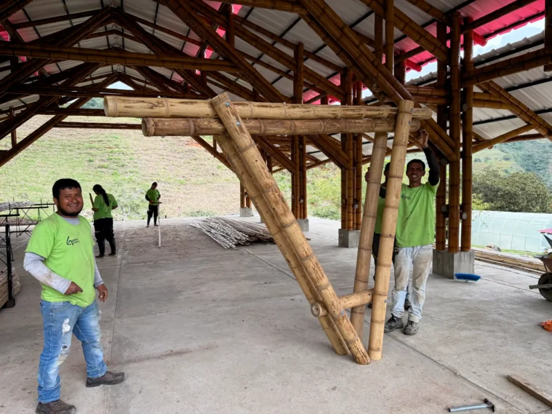Proceso de prefabricación de estructura en bambú guadua en taller - Guadua Bamboo SAS