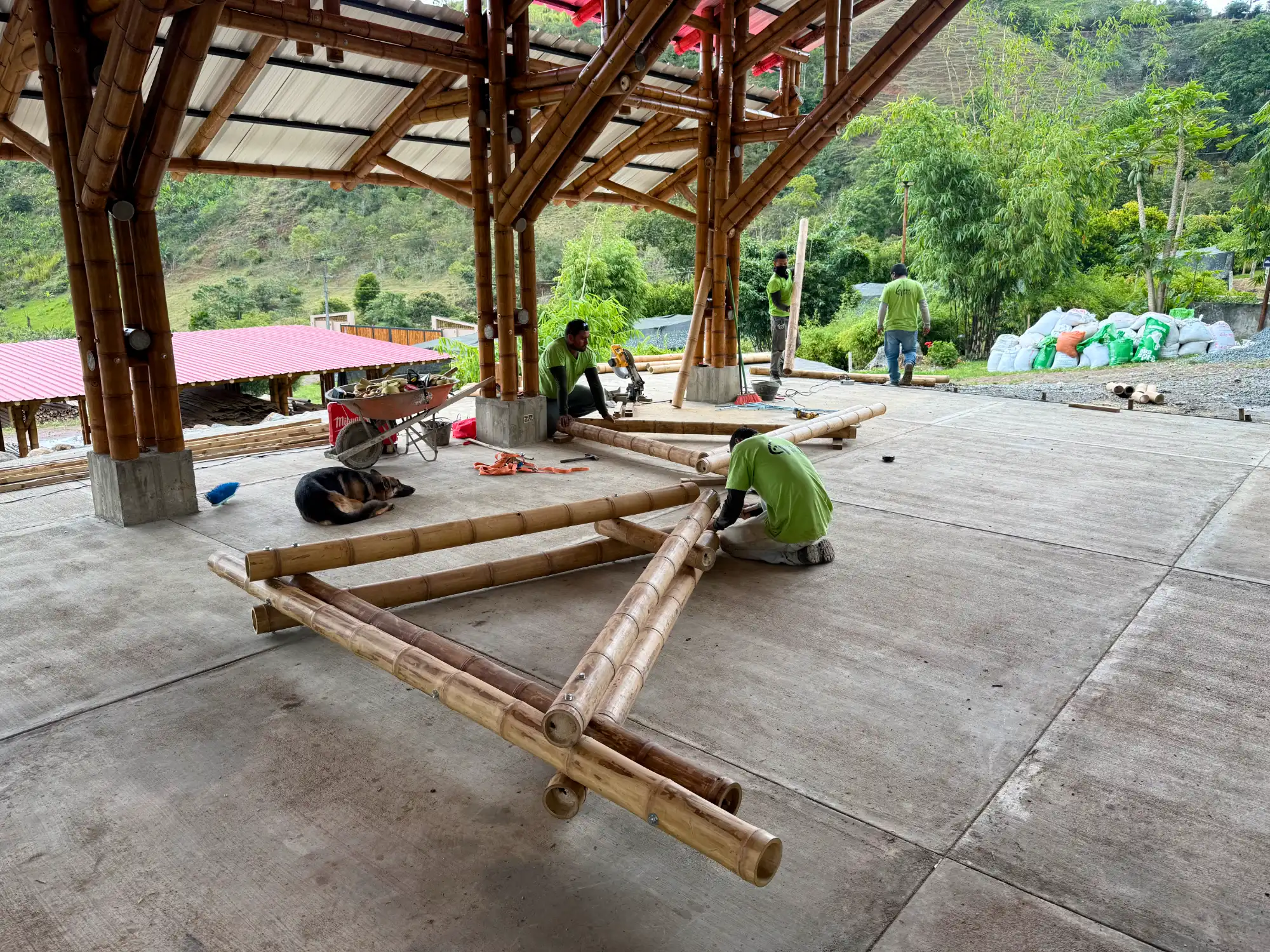 Proceso de prefabricación de estructura en bambú guadua en taller - Guadua Bamboo SAS