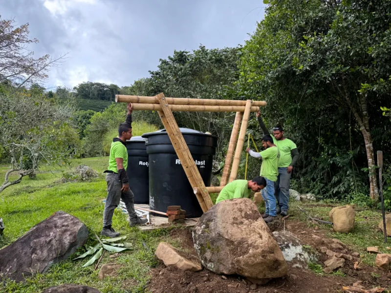 Construcción de cobertizo de guadua prefabricado en sitio - Montaje de soportes estructurales.