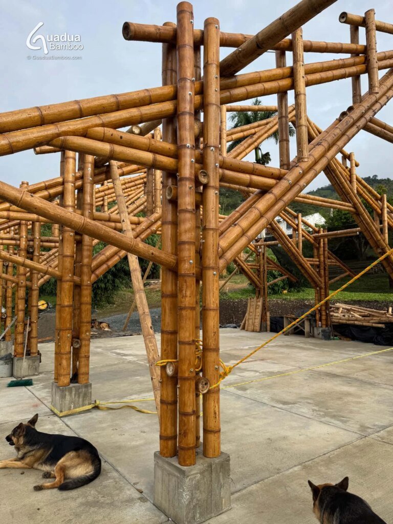 construccion de pabellon en bambu guadua 5