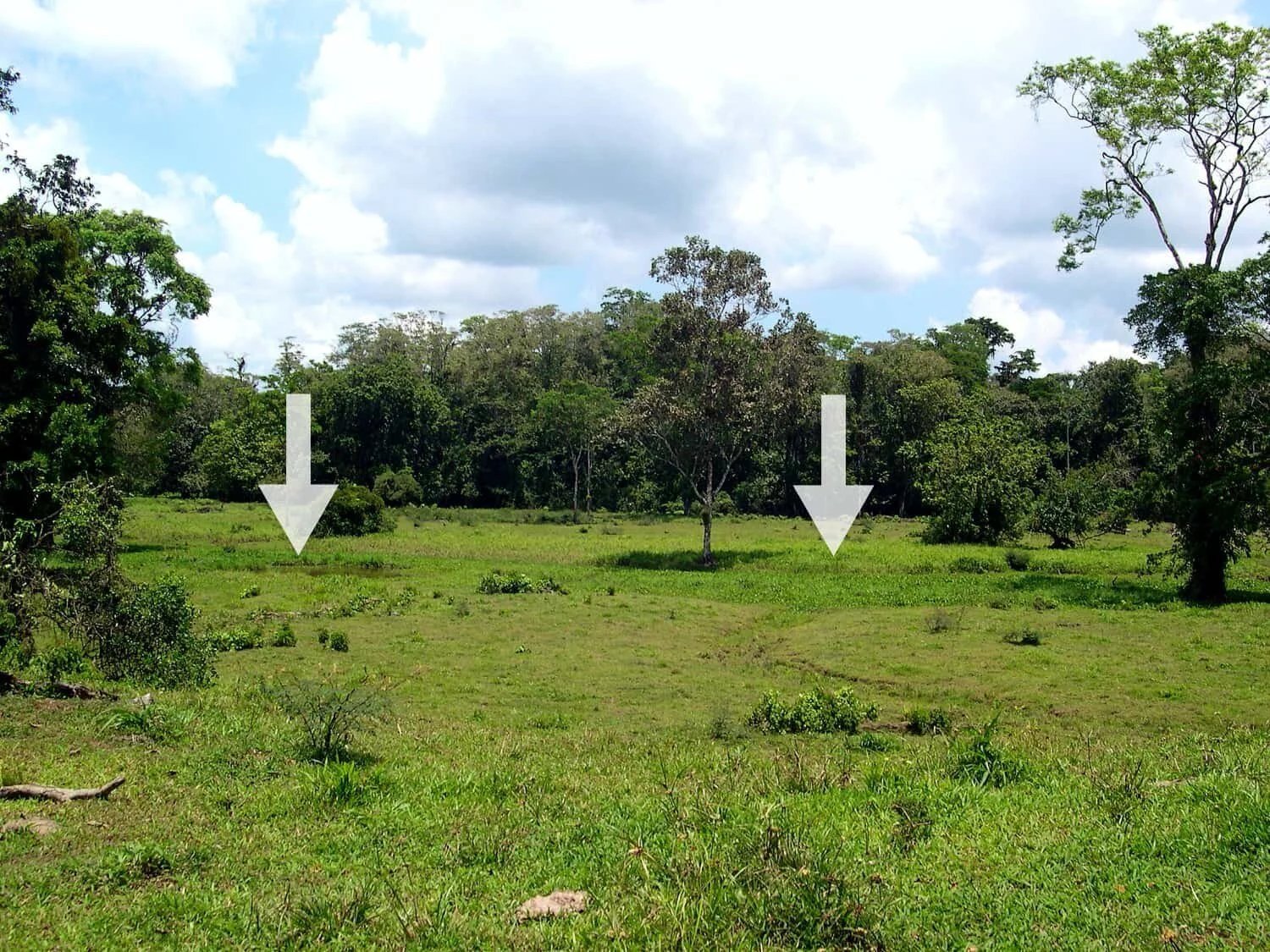 Lugares propensos a inundaciones