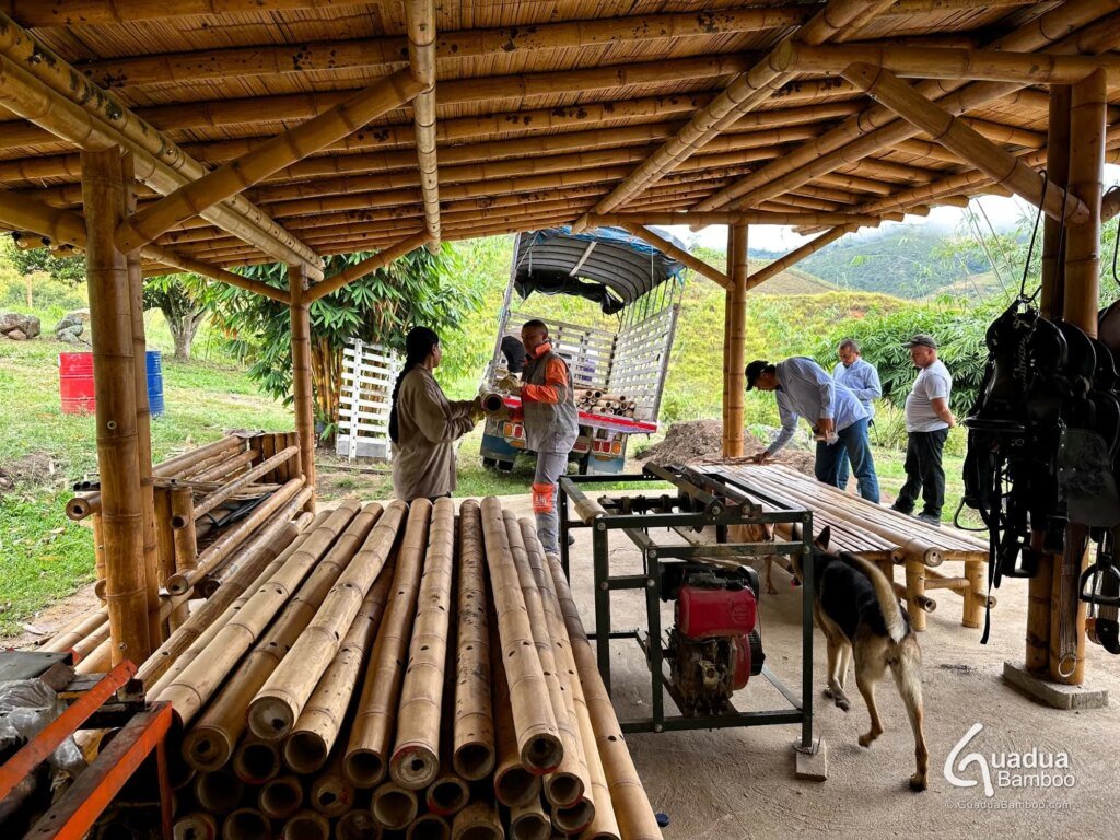 pajareras de guadua 1