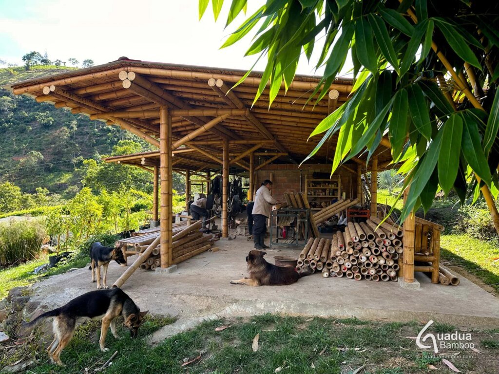 pajareras de guadua 2