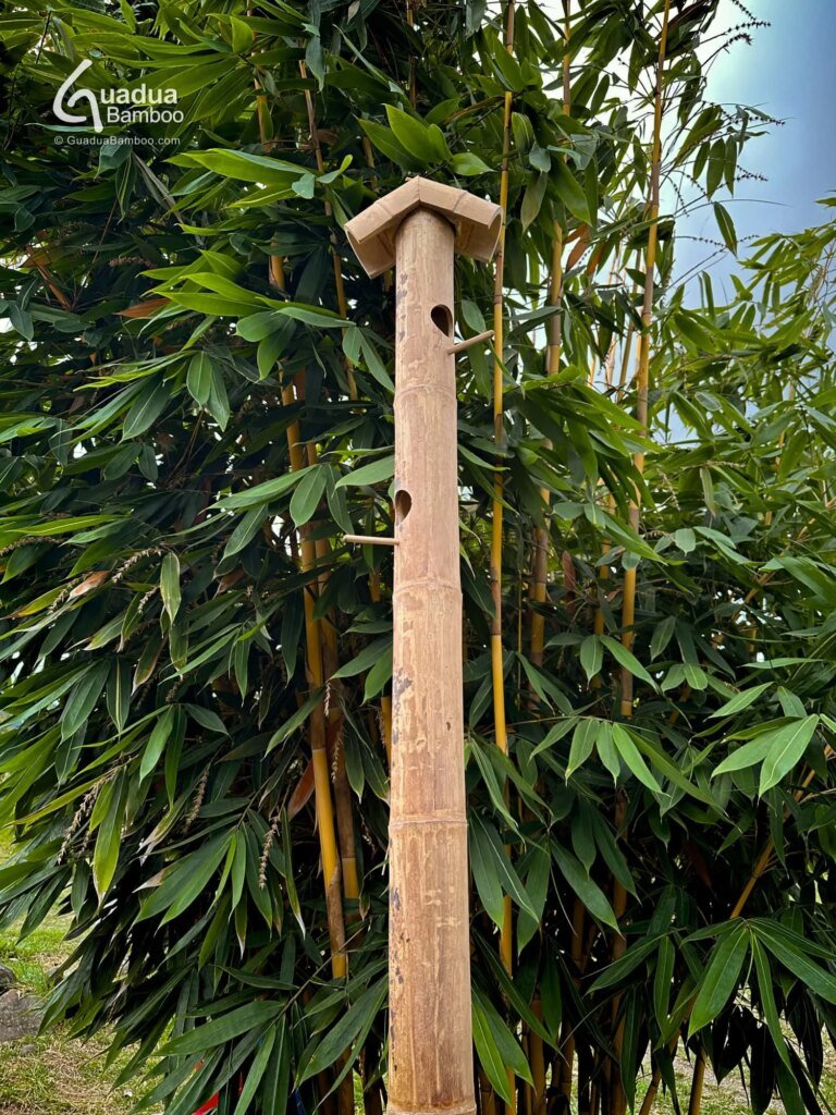 pajareras de guadua 3