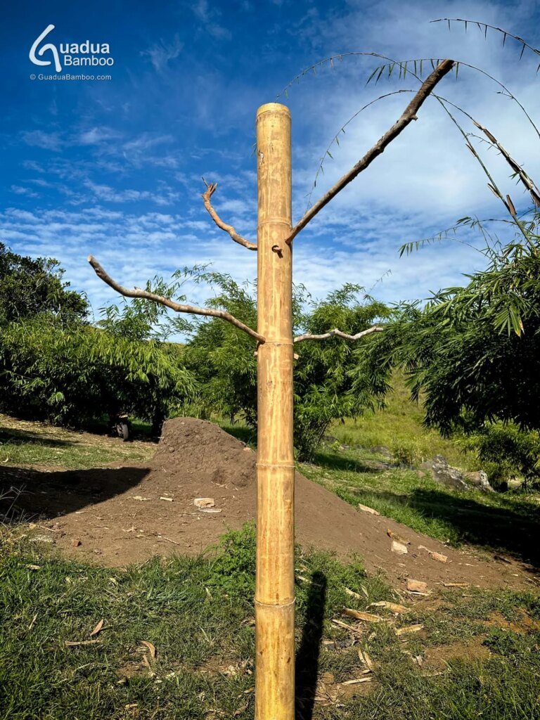 pajareras de guadua 4