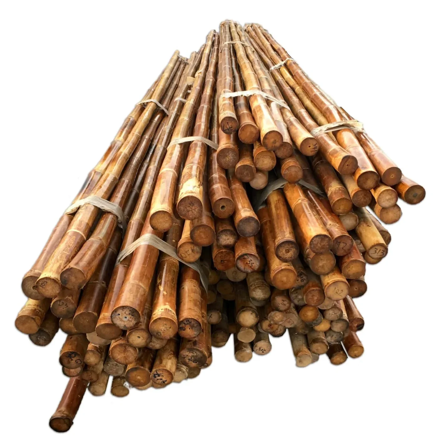 Palos de bambú macizos - Dendrocalamus strictus