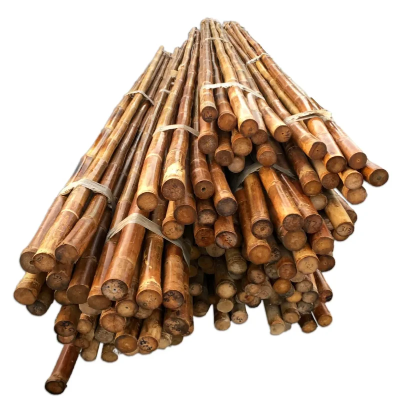 Palos de bambú macizos - Dendrocalamus strictus