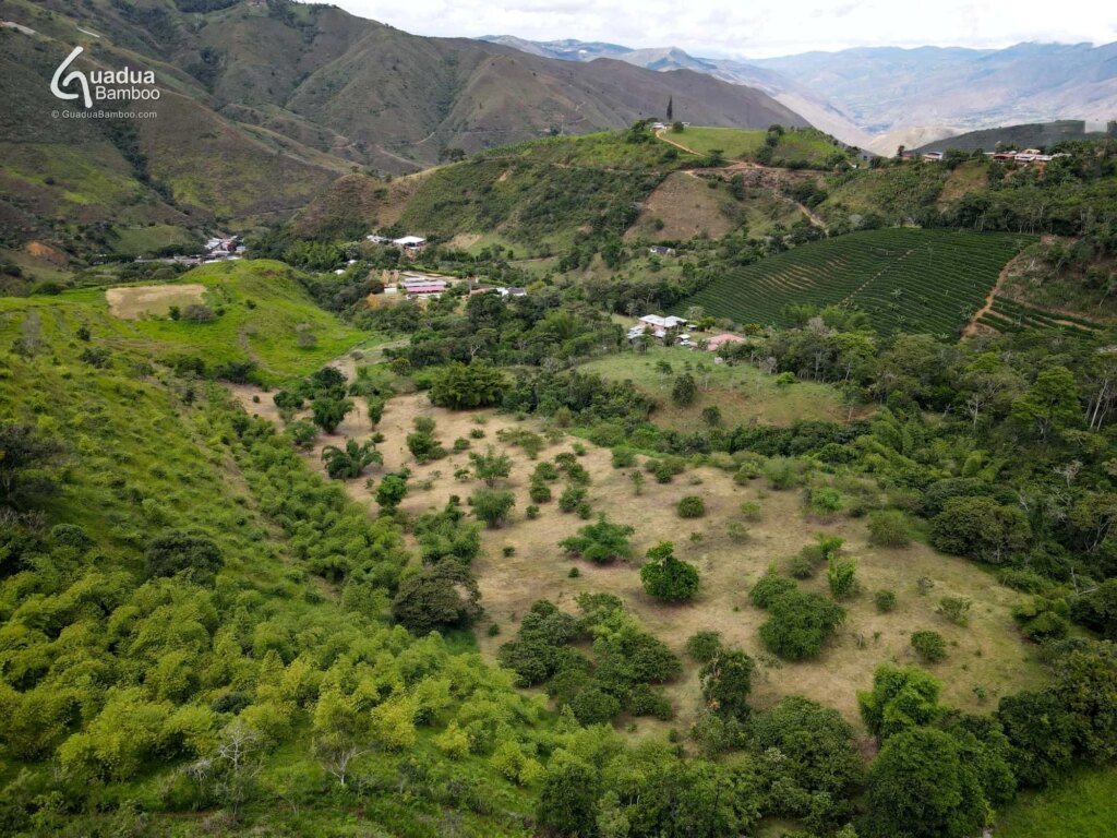 parque de bambu colombia 1