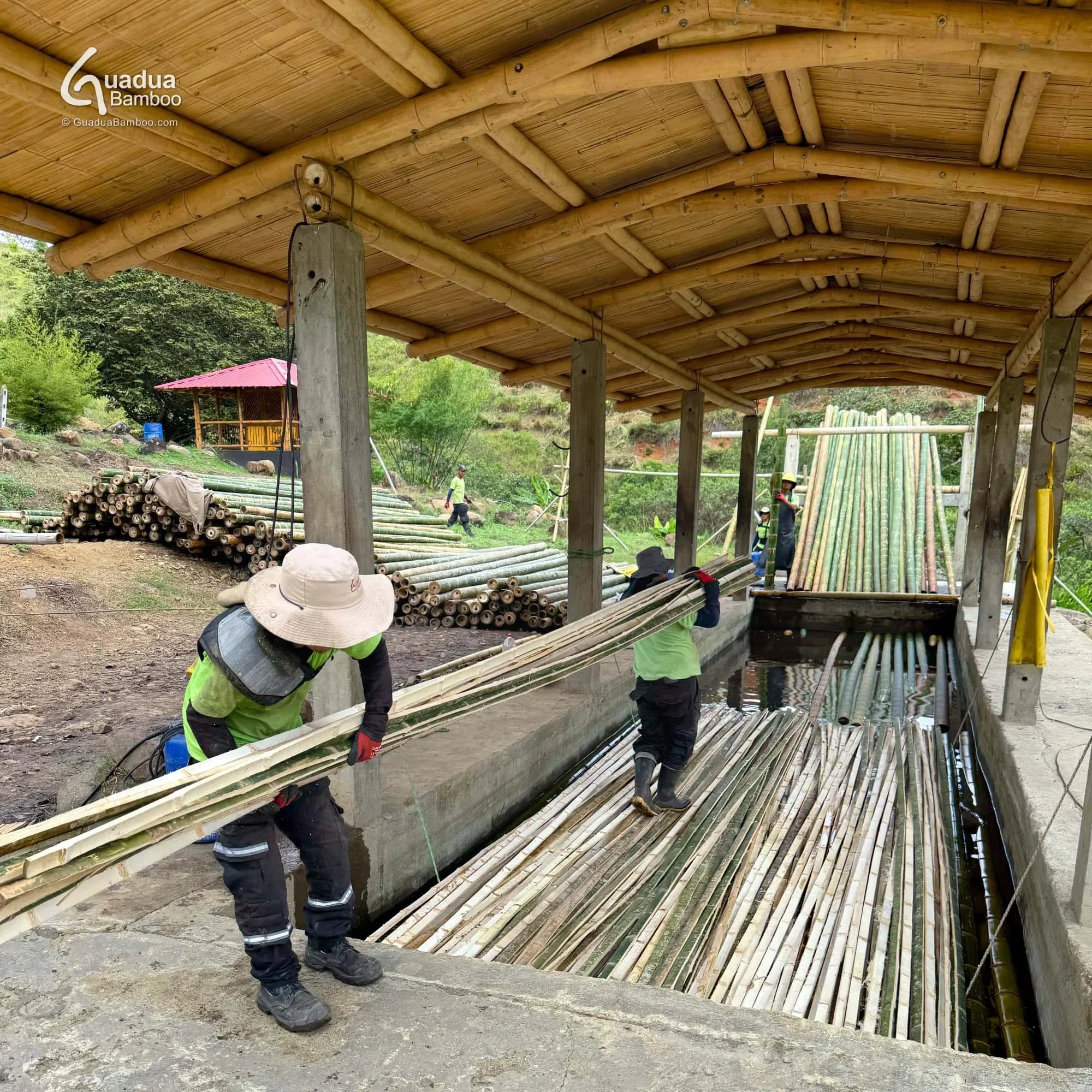 Tratamiento de preservación de latas de guadua