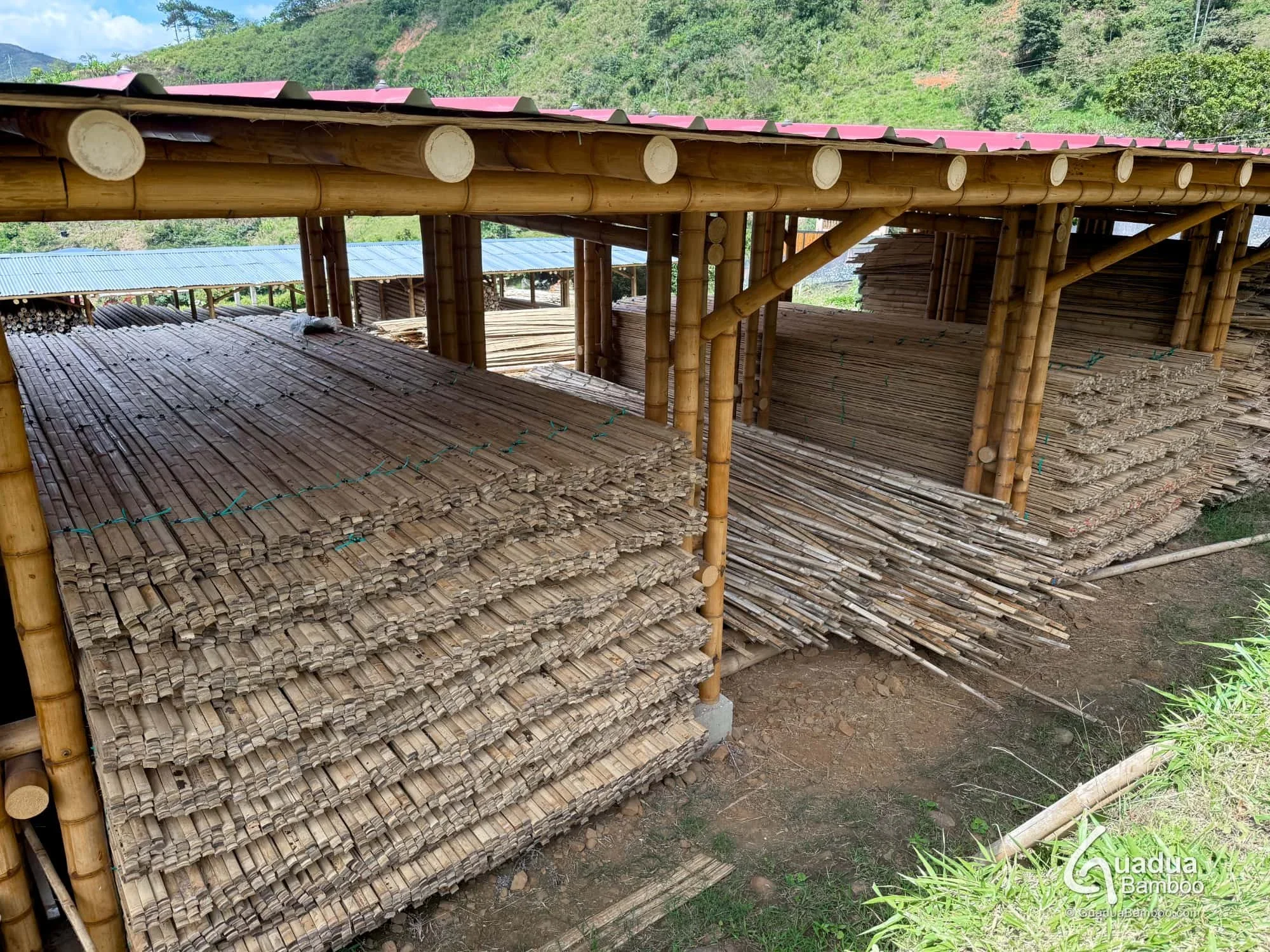 Secado de latas de guadua bajo techo
