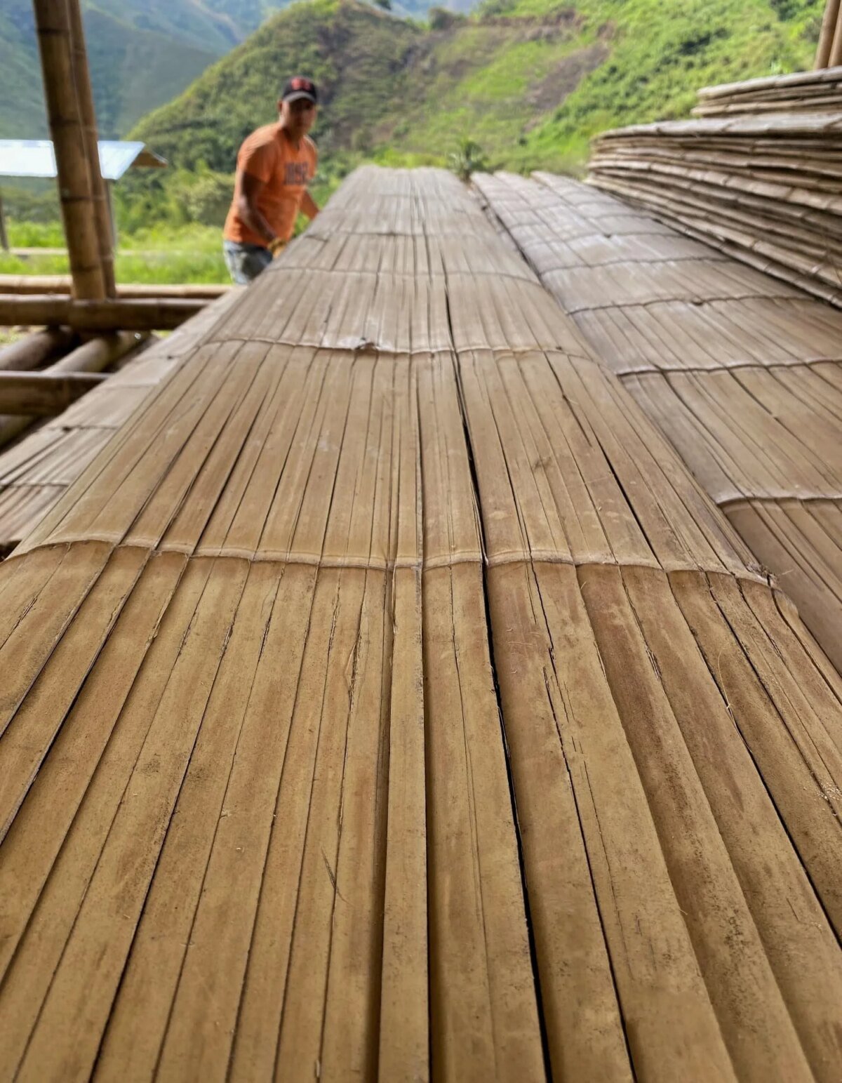 Esterilla de Guadua Esterilla de Guadua