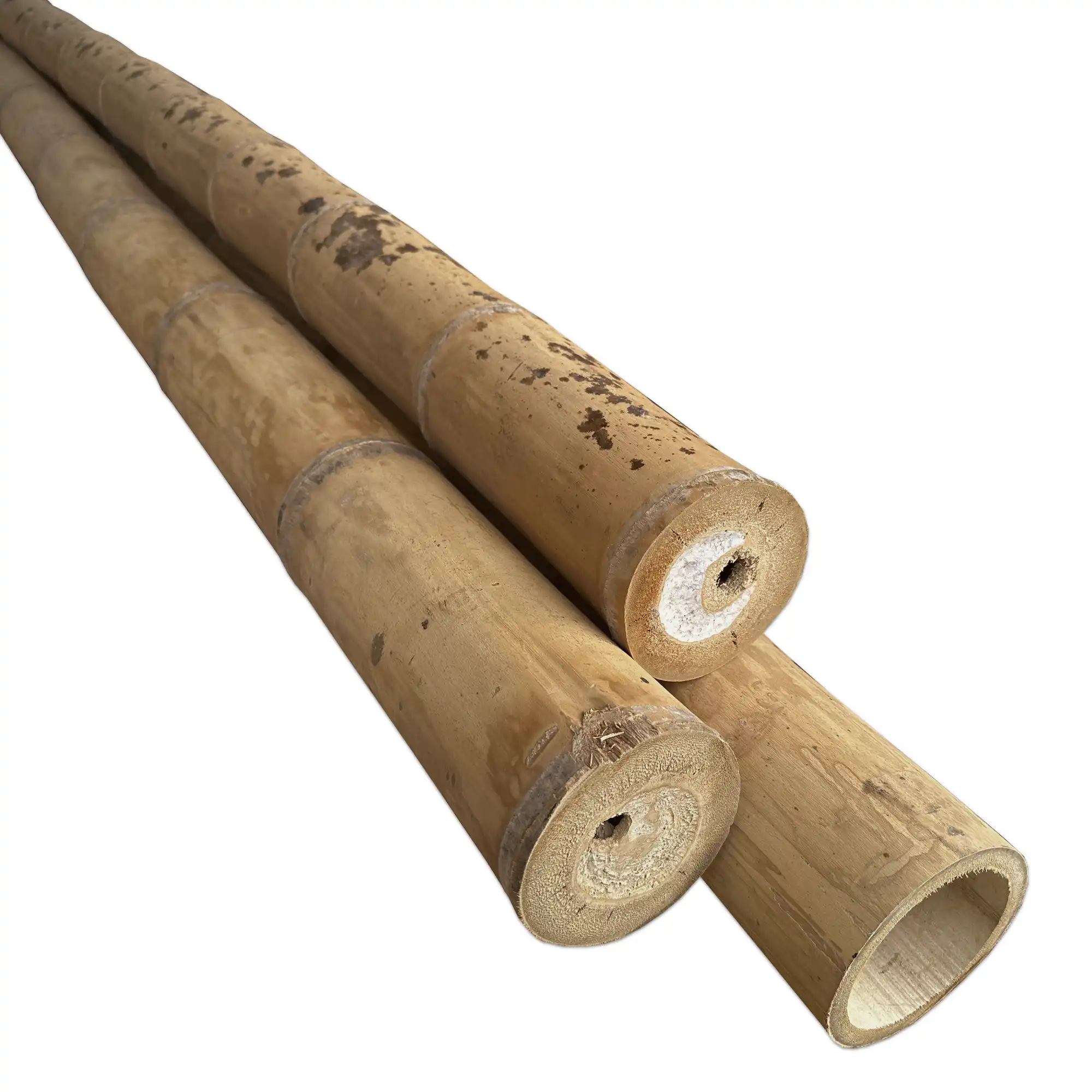 Guadua Rolliza Ø 9-13 cm (6 m) Calidad Estructural