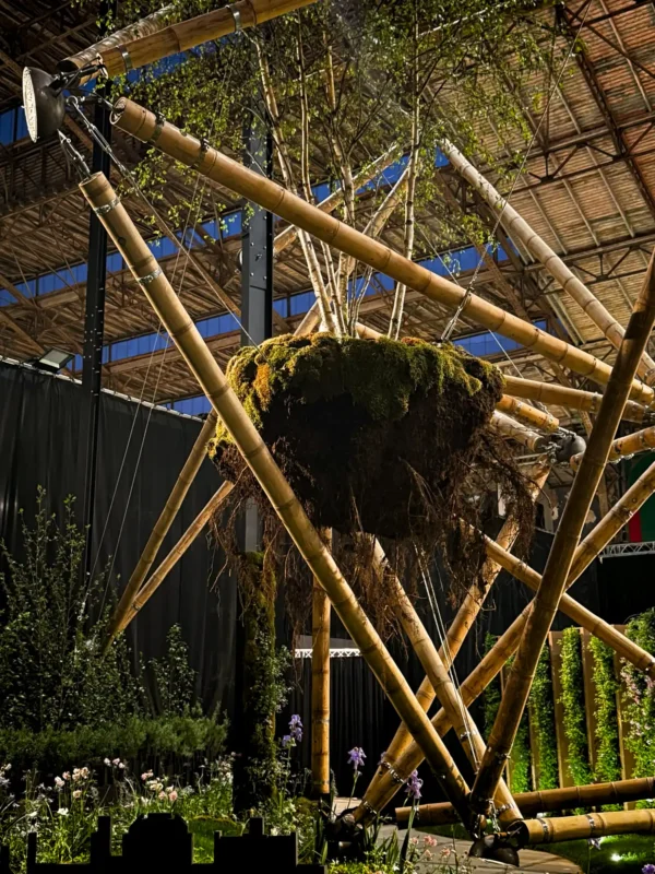 Estructura de Tensegridad en Bambú Guadua en Floraliën 2026 en Gante, Bélgica