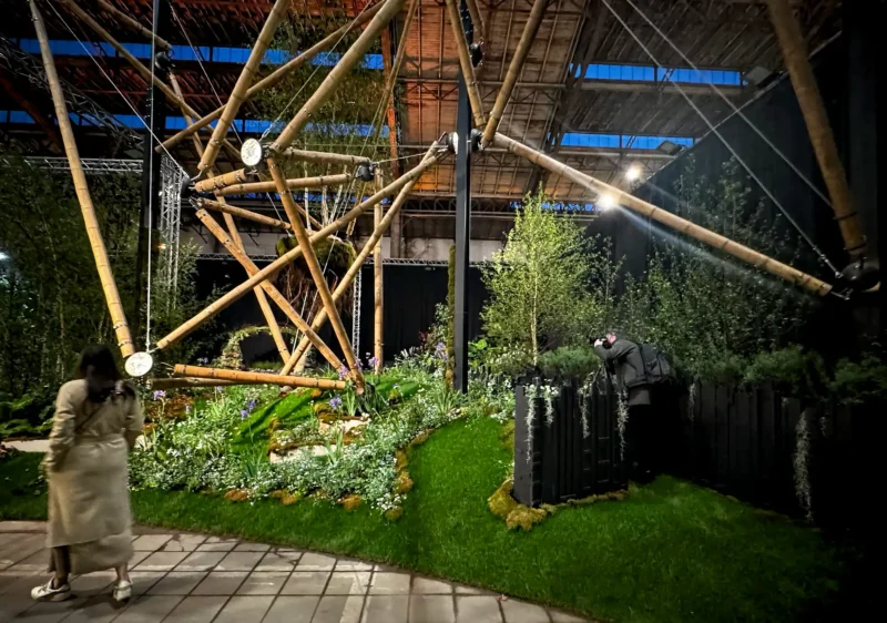 Estructura de Tensegridad en Bambú Guadua en Floraliën 2026 en Gante, Bélgica